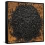 Black Lava Salt-Steve Gadomski-Framed Stretched Canvas