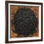 Black Lava Salt-Steve Gadomski-Framed Photographic Print