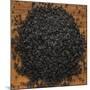 Black Lava Salt-Steve Gadomski-Mounted Photographic Print