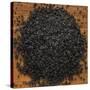 Black Lava Salt-Steve Gadomski-Stretched Canvas