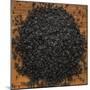 Black Lava Salt-Steve Gadomski-Mounted Photographic Print