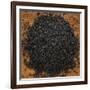 Black Lava Salt-Steve Gadomski-Framed Photographic Print