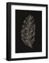 Black Leaf-Design Fabrikken-Framed Art Print