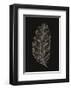 Black Leaf-Design Fabrikken-Framed Art Print