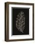 Black Leaf-Design Fabrikken-Framed Art Print