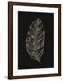 Black Leaf-Design Fabrikken-Framed Art Print