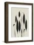 Black Leafs-Treechild-Framed Photographic Print