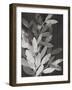 Black Leaves-PI Studio-Framed Art Print