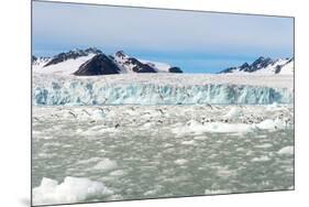 Black-Legged Kittiwakes (Rissa Tridactyla) on Ice Floe, Lilliehook Glacier in Lilliehook Fjord-G&M Therin-Weise-Mounted Premium Photographic Print