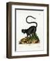 Black Lemur-null-Framed Giclee Print