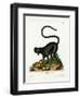 Black Lemur-null-Framed Giclee Print