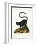 Black Lemur-null-Framed Giclee Print