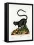 Black Lemur-null-Framed Stretched Canvas