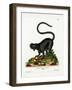 Black Lemur-null-Framed Giclee Print