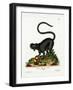 Black Lemur-null-Framed Giclee Print