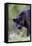 Black Leopard-null-Framed Stretched Canvas