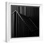 Black Light-Gilbert Claes-Framed Premium Photographic Print