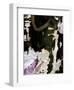 Black Lilac Layers-Jenny Kraft-Framed Art Print