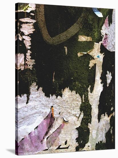 Black Lilac Layers-Jenny Kraft-Stretched Canvas