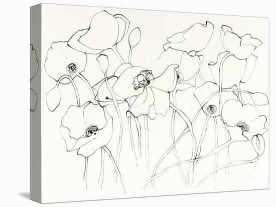 Black Line Poppies III-Shirley Novak-Stretched Canvas
