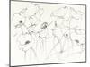 Black Line Poppies III-Shirley Novak-Mounted Art Print