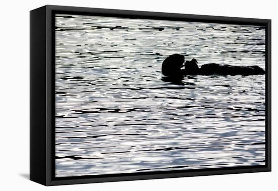 Black Lite Otter Eating Crab-Latitude 59 LLP-Framed Stretched Canvas