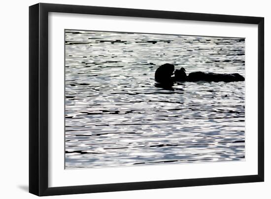 Black Lite Otter Eating Crab-Latitude 59 LLP-Framed Photographic Print