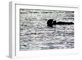 Black Lite Otter Eating Crab-Latitude 59 LLP-Framed Photographic Print