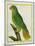 Black-Lored Parrot-Georges-Louis Buffon-Mounted Giclee Print