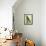 Black-Lored Parrot-Georges-Louis Buffon-Framed Stretched Canvas displayed on a wall