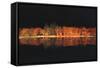 Black Magic-Philippe Sainte-Laudy-Framed Stretched Canvas