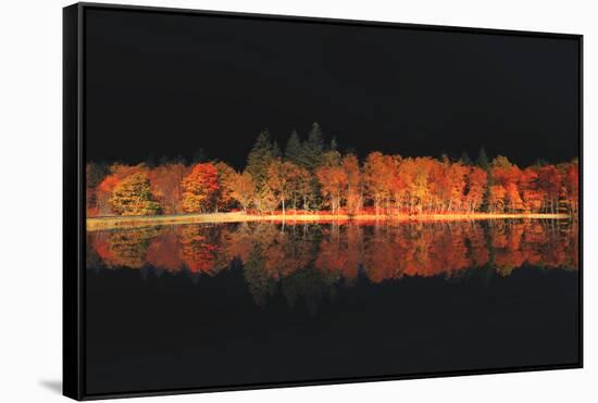 Black Magic-Philippe Sainte-Laudy-Framed Stretched Canvas