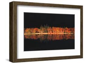 Black Magic-Philippe Sainte-Laudy-Framed Photographic Print