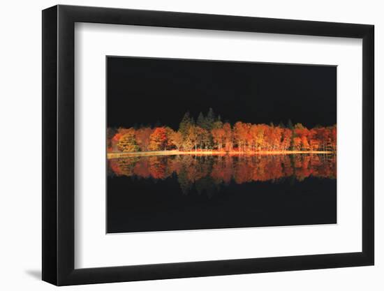 Black Magic-Philippe Sainte-Laudy-Framed Photographic Print