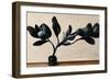 Black Magnolia-null-Framed Giclee Print