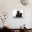 Black Maine Coon Kitten and Cute Daxiedoodle Puppy-Mark Taylor-Photographic Print displayed on a wall