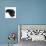 Black Male Cat, Joey, 6 Months, Rollling on Back-Mark Taylor-Photographic Print displayed on a wall