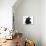 Black Male Cat, Joey, 6 Months, with Paws Raised, Licking-Mark Taylor-Photographic Print displayed on a wall