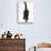 Black Male Kitten, Buxie, 12 Weeks Old, Running Forward-Mark Taylor-Stretched Canvas displayed on a wall