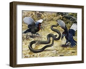 Black Mamba or Black-Mouthed Mamba (Dendroaspis Polylepis), Elapidae-null-Framed Giclee Print