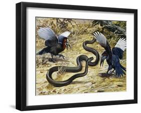 Black Mamba or Black-Mouthed Mamba (Dendroaspis Polylepis), Elapidae-null-Framed Giclee Print