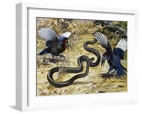 Black Mamba or Black-Mouthed Mamba (Dendroaspis Polylepis), Elapidae-null-Framed Giclee Print