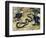 Black Mamba or Black-Mouthed Mamba (Dendroaspis Polylepis), Elapidae-null-Framed Premium Giclee Print