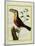 Black-Mandibled Toucan-Georges-Louis Buffon-Mounted Giclee Print