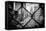 Black Manhattan Collection - Between the mesh of the Fence-Philippe Hugonnard-Framed Stretched Canvas