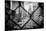 Black Manhattan Collection - Between the mesh of the Fence-Philippe Hugonnard-Mounted Photographic Print