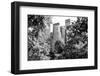 Black Manhattan Collection - Central Park-Philippe Hugonnard-Framed Photographic Print