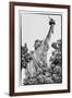 Black Manhattan Collection - Freedom-Philippe Hugonnard-Framed Premium Photographic Print