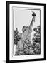 Black Manhattan Collection - Freedom-Philippe Hugonnard-Framed Premium Photographic Print