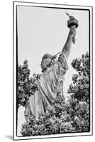 Black Manhattan Collection - Freedom-Philippe Hugonnard-Mounted Premium Photographic Print